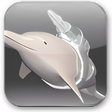 Icoon van programma: Laser Dolphin