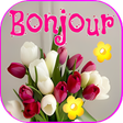 أيقونة البرنامج: Bonjour Bonsoir Bonne Nui…