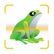 Ikon program: Frog Identifier Reptile I…