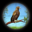 FPS Hunter: Bird Hunting 2020 icon