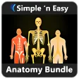Anatomy Bundle by WAGmob