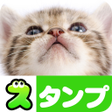 プログラムのアイコン：Cat Stickers Free
