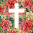 프로그램 아이콘: Bible For Women  Daily St…