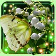 Icon of program: Lily of Valley HD LWP