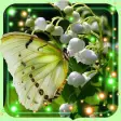Lily of Valley HD LWP