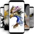 Icon of program: Eagle Wallpapers