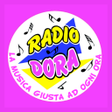 プログラムのアイコン：Radio Dora