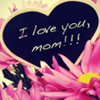 プログラムのアイコン：Mother Love Status for Wh…