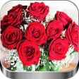 プログラムのアイコン：Flores y Rosas Rojas imág…