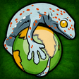 プログラムのアイコン：Reptilienkosmos.de
