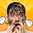 Ikon program: Insect Filters: Bug on Fa…