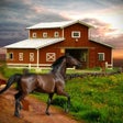 Icoon van programma: Escape Game: Stud Farm