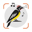 プログラムのアイコン：Bird Sounds Identifier Ca…