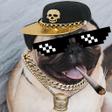 程序图标：Thug Life Picture Editor