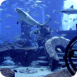 程序图标：Aquarium Video Live Wallp…