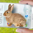 Bunny in Phone Cute joke