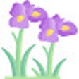 程序图标：Flower Search