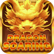 Ícone do programa: Dragon Soaring