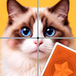 Programın simgesi: Jigsaw ClearSolitaire Puz…