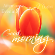 Icon of program: Good Morning Afternoon Ev…