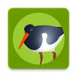 Die Vogel App