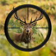 Icon of program: Ultimate Deer Hunting 3D
