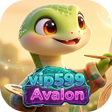 ไอคอนของโปรแกรม: Vip599Avaion