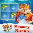 أيقونة البرنامج: Memory Burns