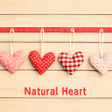 Icon of program: Natural Heart Theme
