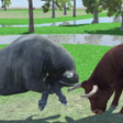 プログラムのアイコン：Angry Buffalo Attack Simu…