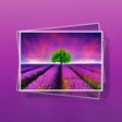 프로그램 아이콘: Flower Gallery