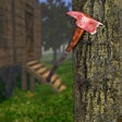 程序图标：Forest Survival: Island C…
