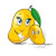 程序图标：MangoExtension