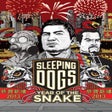 程序图标：Sleeping Dogs: Year of th…