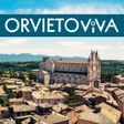 プログラムのアイコン：OrvietoViva