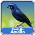 Icono de programa: Canto De Azulão