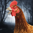 Ikon program: Scary Chicken Feet Escape…