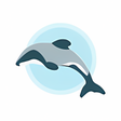 程序图标：Hectors Dolphin Sightings