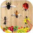 Иконка программы: Ant Smasher 2d