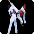 程序图标：Taekwondo Techniques