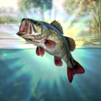 プログラムのアイコン：Bobber Fishing