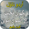 ไอคอนของโปรแกรม: Bikahrti muhabbat-urdu no…