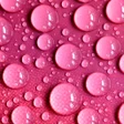 程序图标：Pink Wallpapers