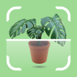 プログラムのアイコン：Leavif - Plant identifier