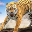 Ikona programu: Lion Simulator 3d Animal …