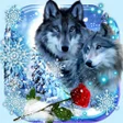 Icon of program: Wolf Love Live Wallpaper