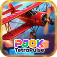 程序图标：PJOK TetraPulse