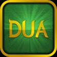 程序图标：Dualar