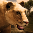 Ícone do programa: Ultimate Lioness Simulato…