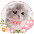程序图标：Cute Cat Live Launcher Th…